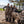 Three women in camouflage hunting gear standing by a truck bed filled with harvested ducks near a lake