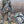 Person wearing DSG Outerwear camouflage hunting gear pulling a matching rolling duffel bag