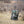 DSG Outerwear rolling gear bag in camouflage print standing in a field