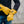 Person wearing yellow ActionHeat 7V battery heated gloves