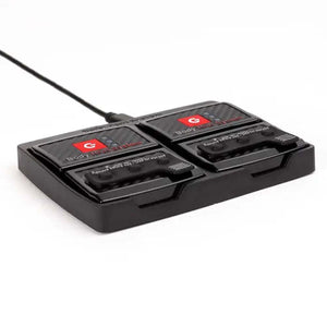 Dual port battery charging dock for Gerbing Body Heat System