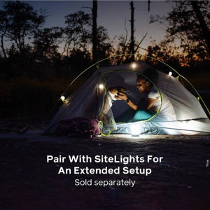 Person and dog inside a BioLite tent illuminated by string lights at night