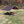 Snow Peak Recta Tarp L Set