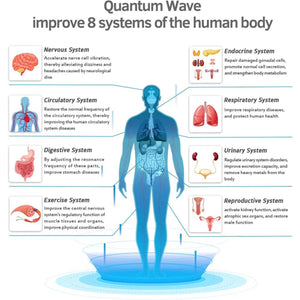 Infographic showing eight human body systems and their functions