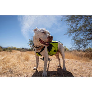 White dog wearing a neon green cooling vest standing in a dry field with a water mist spray
