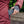 Hand placing an ActionHeat power bank into the zippered pocket of a quilted maroon jacket