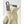 Hestra beige suede glove cuff with brown pull tab and elasticated wrist detail